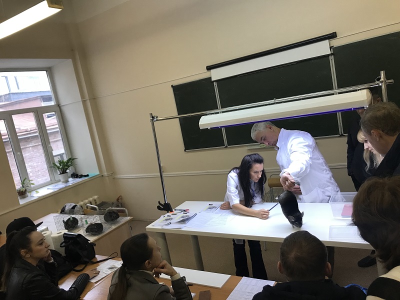 seminar mekhovaya vystavka 7